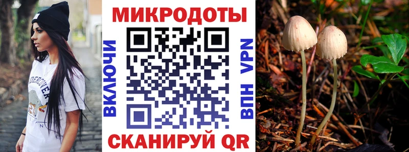 Купить закладки  Новый Уренгой  Псилоцибиновые грибы мицелий 